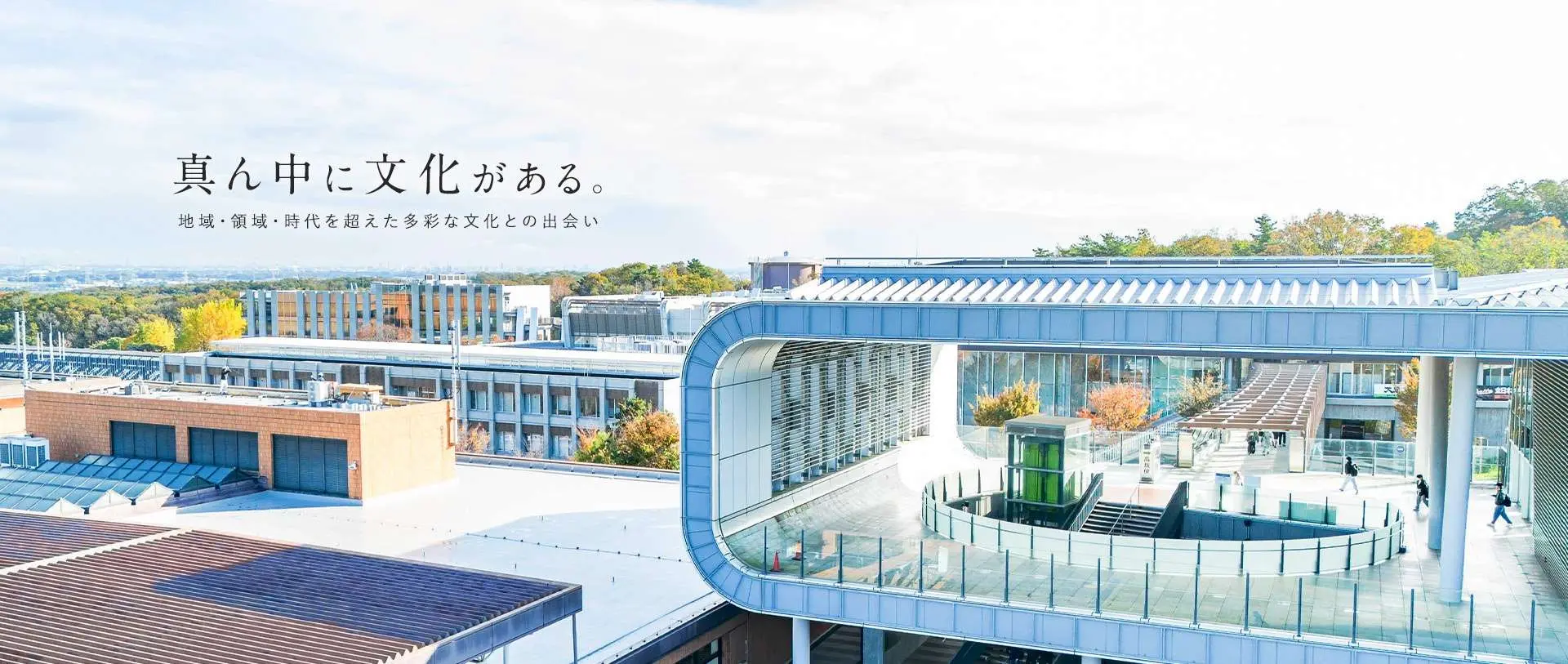 真ん中に文化がある。